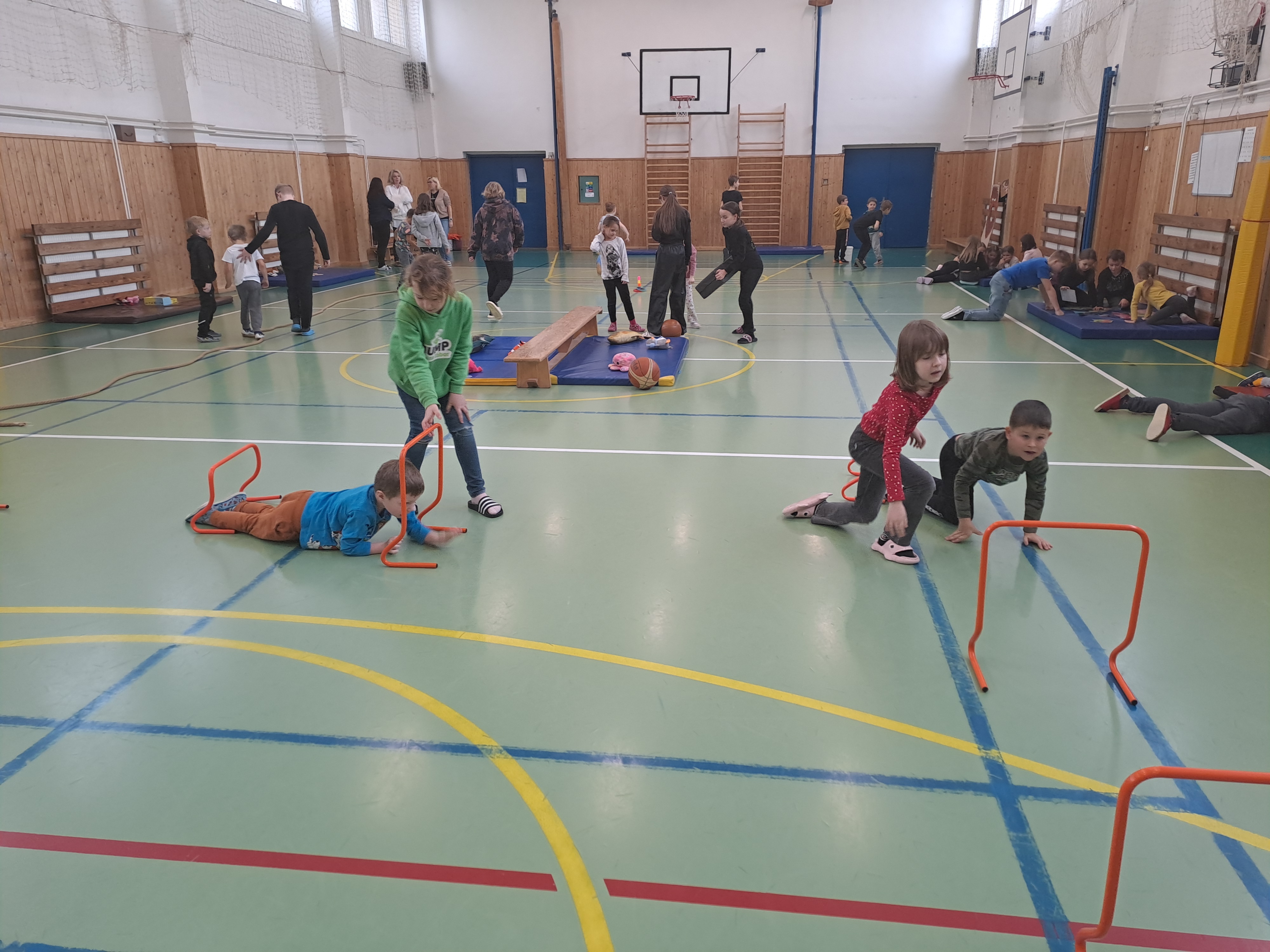 Mravenčí olympiáda