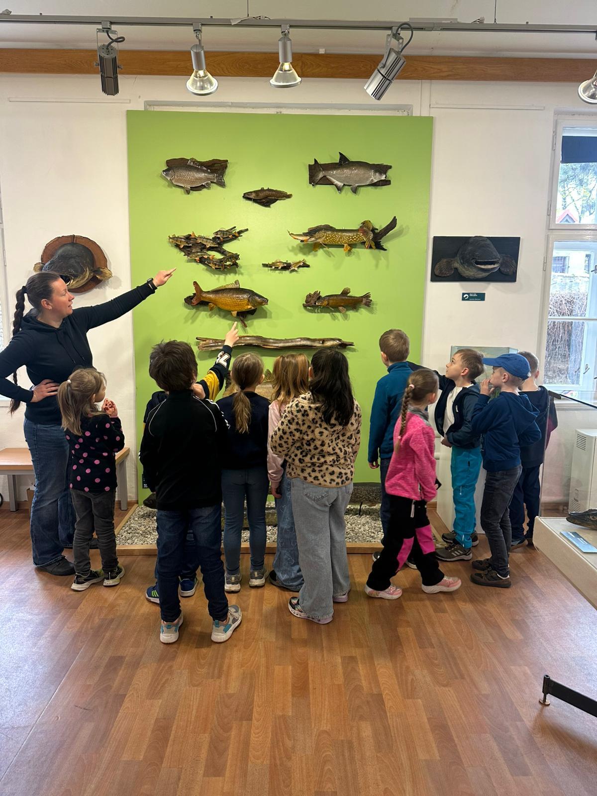 Ryba, žába, had - každý je náš kamarád!